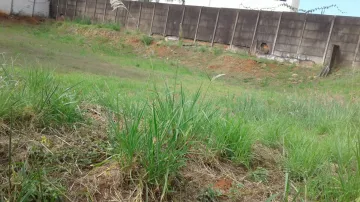 imagem 5 - Vila Maceno - Terreno com 812m², com testada acima de 30 metros, fácil acesso ao centro imagem 5 - Vila Maceno - Terreno com 812m², com testada acima de 30 metros, fácil acesso ao centro