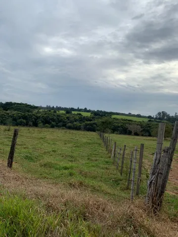 imagem 2 - Vende - Ótimo terreno em Cedral imagem 2 - Vende - Ótimo terreno em Cedral
