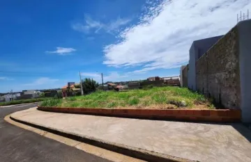 Terreno / Padrão em São José do Rio Preto 