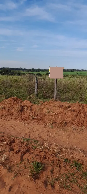 imagem 4 - Área Venda com 1 Alqueire na Cidade de Alvares Florence imagem 4 - Área Venda com 1 Alqueire na Cidade de Alvares Florence