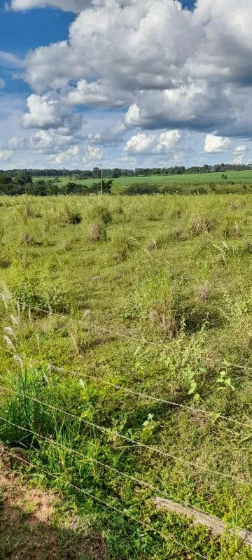 imagem 5 - Área Venda com 1 Alqueire na Cidade de Alvares Florence imagem 5 - Área Venda com 1 Alqueire na Cidade de Alvares Florence