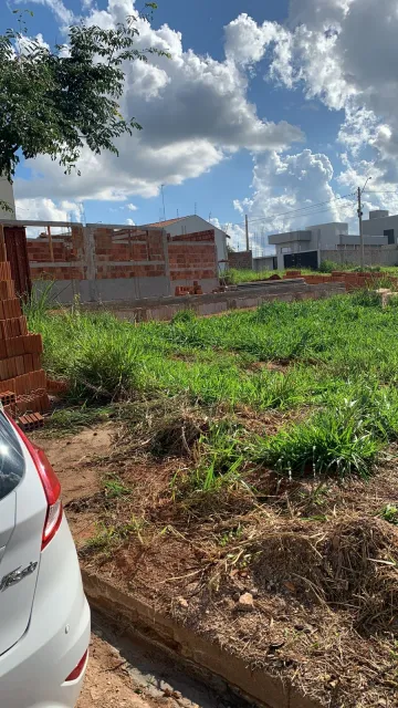 Terreno / Padrão em São José do Rio Preto 