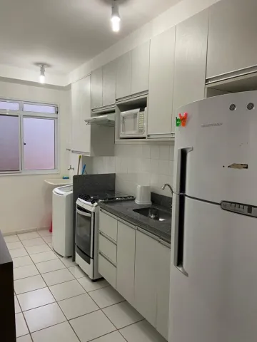 Alugar Apartamento / Padrão em São José do Rio Preto apenas R$ 1.100,00 - Foto 4