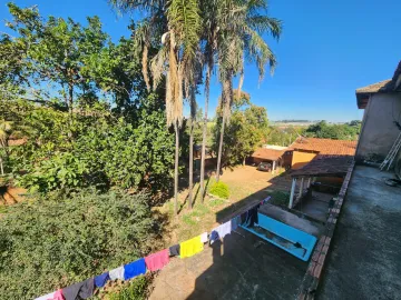 Comprar Rural / Chácara em Cedral R$ 750.000,00 - Foto 9