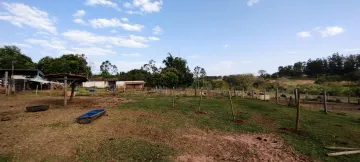 Comprar Rural / Sítio em Bady Bassitt R$ 1.650.000,00 - Foto 20