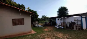 Comprar Rural / Sítio em Bady Bassitt R$ 1.650.000,00 - Foto 24