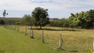 imagem 2 - Porque comprar este Sítio em São José do Rio Preto!!!!! - Com produção de madeira, frutas, açaí e outros - Tendo acima de 23 Alqueires imagem 2 - Porque comprar este Sítio em São José do Rio Preto!!!!! - Com produção de madeira, frutas, açaí e outros - Tendo acima de 23 Alqueires