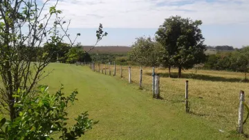 imagem 3 - Porque comprar este Sítio em São José do Rio Preto!!!!! - Com produção de madeira, frutas, açaí e outros - Tendo acima de 23 Alqueires imagem 3 - Porque comprar este Sítio em São José do Rio Preto!!!!! - Com produção de madeira, frutas, açaí e outros - Tendo acima de 23 Alqueires