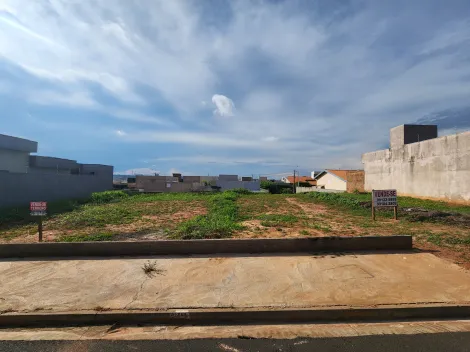 imagem 4 - Terreno Residencial Venda Setsul imagem 4 - Terreno Residencial Venda Setsul