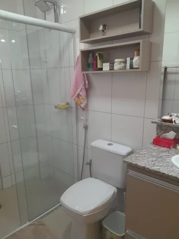 Comprar Apartamento / Padrão em São José do Rio Preto apenas R$ 530.000,00 - Foto 17