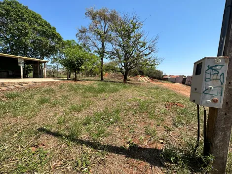 Comprar Terreno / Área em São José do Rio Preto R$ 2.650.000,00 - Foto 5