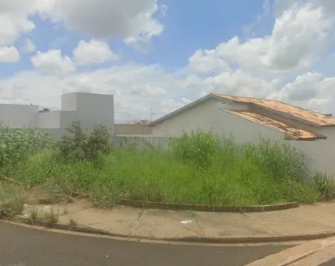 imagem 1 - Terreno - Padrão imagem 1 - Terreno - Padrão