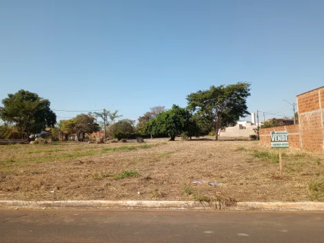 Palestina Jardim do Bosque I Terreno Venda R$92.000,00  Area do terreno 230.00m2 