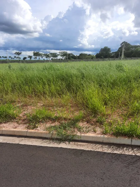 Comprar Terreno / Condomínio em São José do Rio Preto apenas R$ 590.000,00 - Foto 2