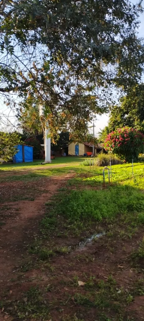 imagem 2 - Agua Limpa/ Bady Bassit- Sitio imagem 2 - Agua Limpa/ Bady Bassit- Sitio