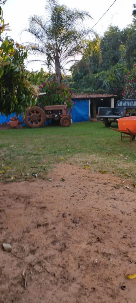 imagem 1 - Agua Limpa/ Bady Bassit- Sitio imagem 1 - Agua Limpa/ Bady Bassit- Sitio