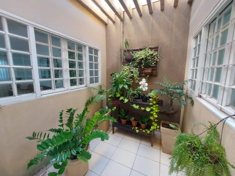imagem 3 - Jardim Conceição - Casa Venda imagem 3 - Jardim Conceição - Casa Venda