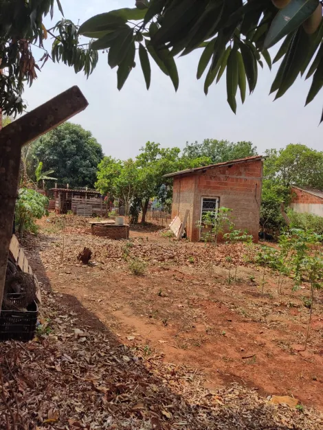 imagem 2 - Chácara em Ipiguá - Recanto dos 18 imagem 2 - Chácara em Ipiguá - Recanto dos 18