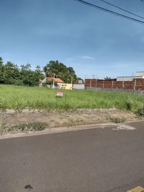 Terreno / Padrão em São José do Rio Preto 