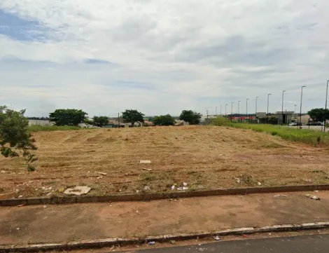 Terreno / Padrão em São José do Rio Preto 