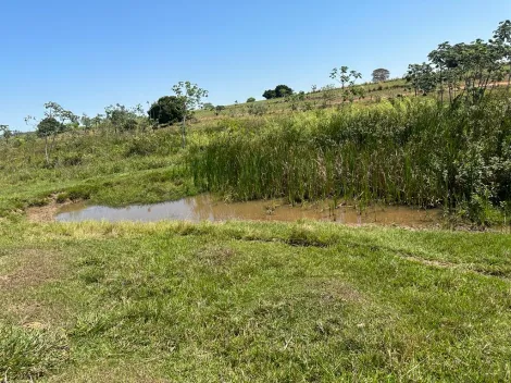imagem 1 - Sitio  à Venda - Santa Fé do Sul imagem 1 - Sitio  à Venda - Santa Fé do Sul