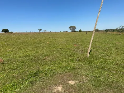 imagem 2 - Sitio  à Venda - Santa Fé do Sul imagem 2 - Sitio  à Venda - Santa Fé do Sul