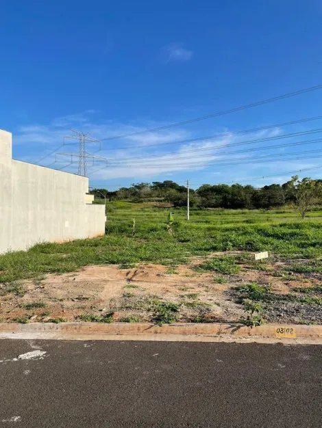 Comprar Terreno / Padrão em Bady Bassitt R$ 80.000,00 - Foto 5