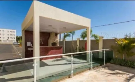 Alugar Apartamento / Padrão em São José do Rio Preto apenas R$ 850,00 - Foto 5