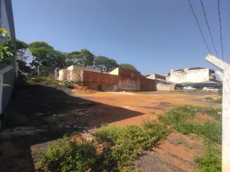 imagem 4 - Terreno Comercial Locação São Deocleciano imagem 4 - Terreno Comercial Locação São Deocleciano