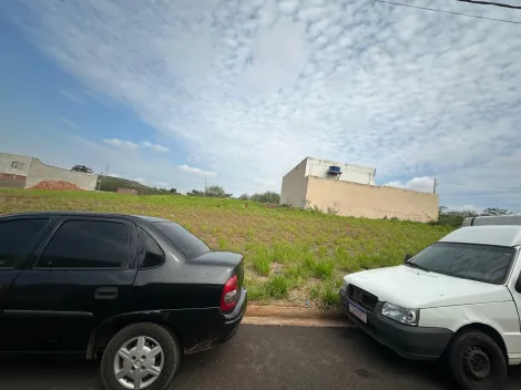 Terreno / Padrão em São José do Rio Preto 