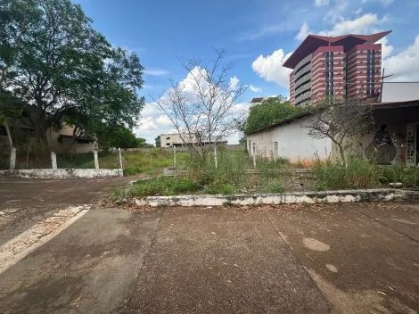 imagem 4 - Terreno / Área  - Á venda com 3.990,00m² - Zona Sul de São José do Rio Preto imagem 4 - Terreno / Área  - Á venda com 3.990,00m² - Zona Sul de São José do Rio Preto