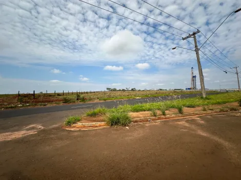 imagem 2 - Terreno - Área imagem 2 - Terreno - Área