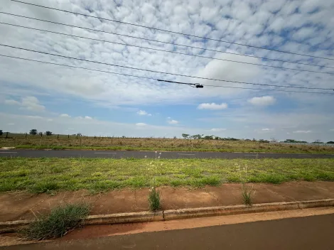 imagem 4 - Terreno - Área imagem 4 - Terreno - Área