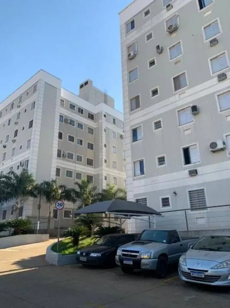 Alugar Apartamento / Padrão em São José do Rio Preto apenas R$ 850,00 - Foto 8