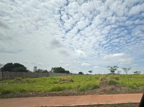 Comprar Terreno / Área em São José do Rio Preto R$ 12.200.000,00 - Foto 9