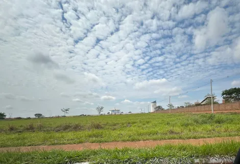 Comprar Terreno / Área em São José do Rio Preto R$ 11.300.000,00 - Foto 3