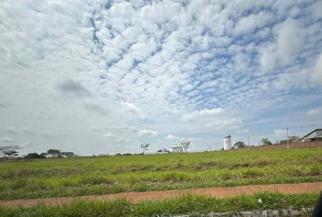 Comprar Terreno / Área em São José do Rio Preto R$ 11.300.000,00 - Foto 5