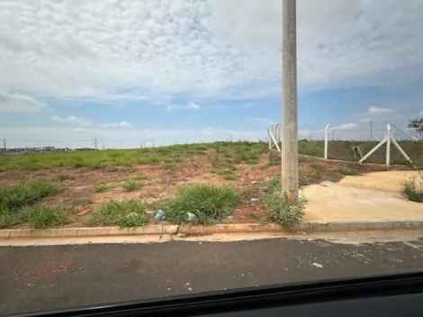 Alugar Terreno / Área em São José do Rio Preto. apenas R$ 7.970.000,00
