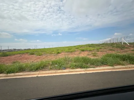 Comprar Terreno / Área em São José do Rio Preto apenas R$ 8.000.000,00 - Foto 60
