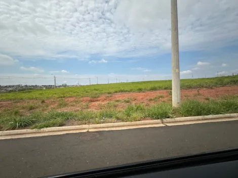 Comprar Terreno / Área em São José do Rio Preto R$ 8.000.000,00 - Foto 4