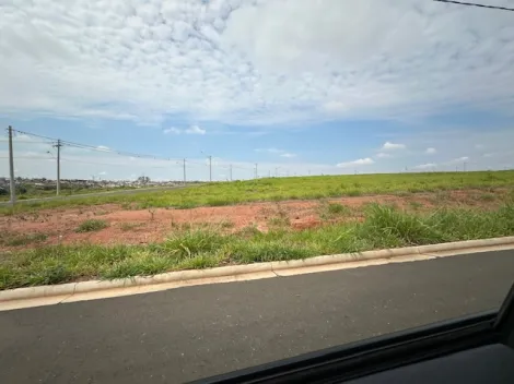 Comprar Terreno / Área em São José do Rio Preto R$ 8.000.000,00 - Foto 6