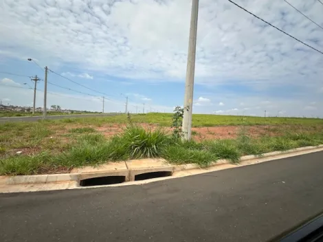 Comprar Terreno / Área em São José do Rio Preto apenas R$ 8.000.000,00 - Foto 7