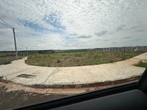 Comprar Terreno / Área em São José do Rio Preto - Foto 30