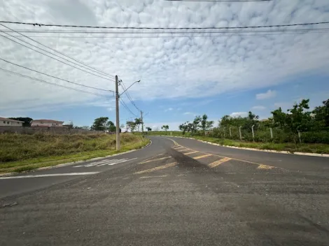 Terreno / Área em São José do Rio Preto 