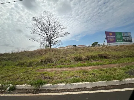 Comprar Terreno / Área em São José do Rio Preto - Foto 5