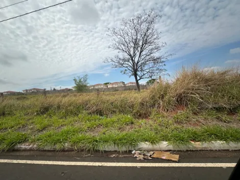 Comprar Terreno / Área em São José do Rio Preto - Foto 12