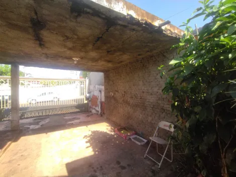 imagem 5 - Casa com Edículas Venda Vila Aurora imagem 5 - Casa com Edículas Venda Vila Aurora