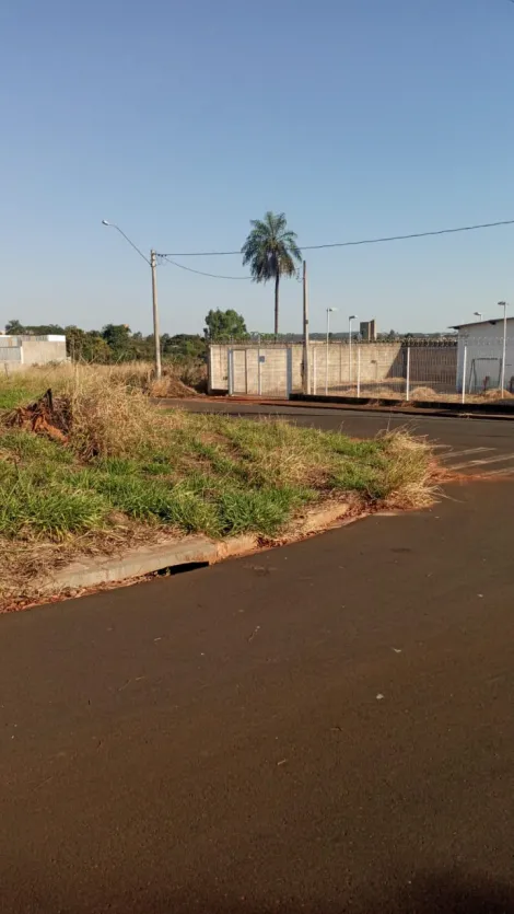 Terreno / Padrão em São José do Rio Preto 