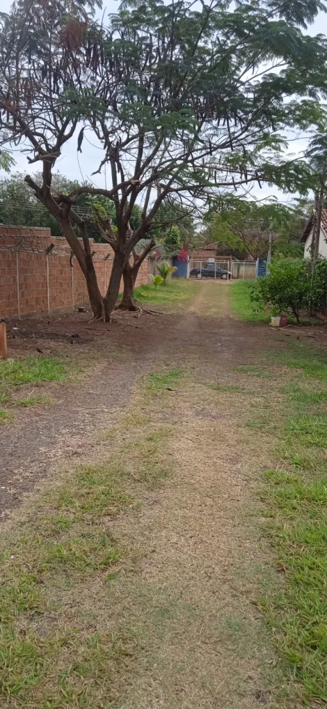 Comprar Rural / Chácara em Guapiaçu apenas R$ 350.000,00 - Foto 2