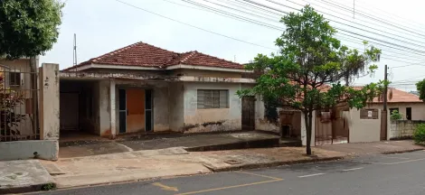 imagem 1 - Casa Vila Diniz imagem 1 - Casa Vila Diniz